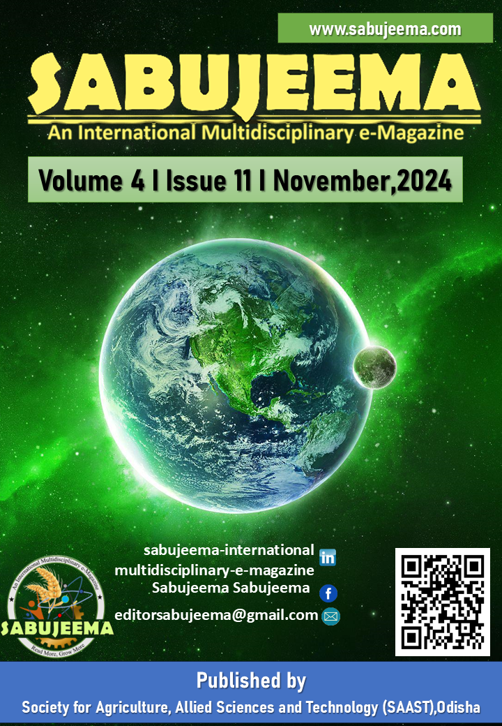 November-2024